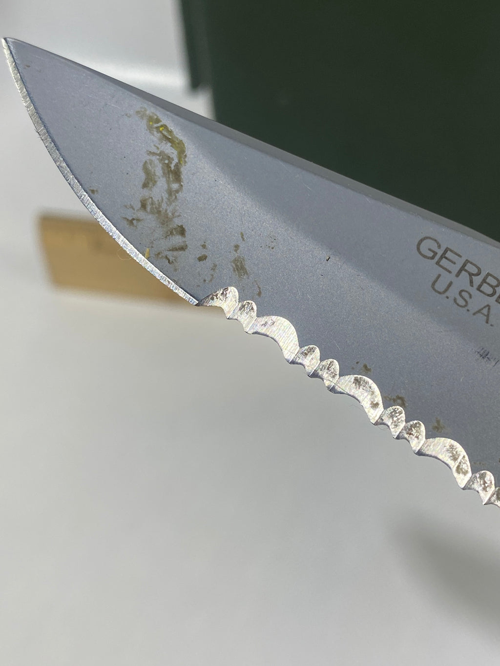 Gerber #-16. EZ Out. Light usage. Dirty. Ding on the blade.