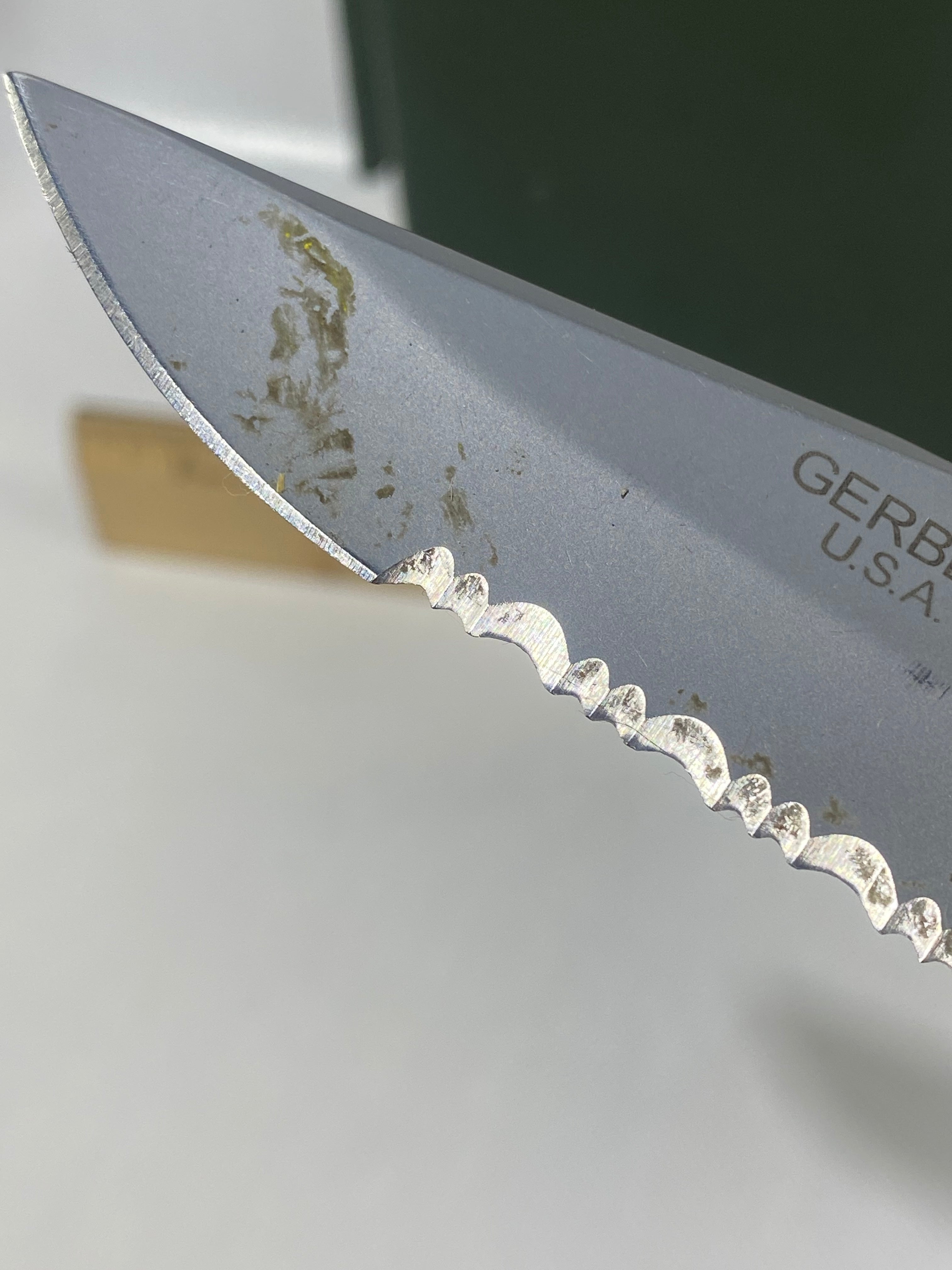 Gerber #-16. EZ Out. Light usage. Dirty. Ding on the blade.