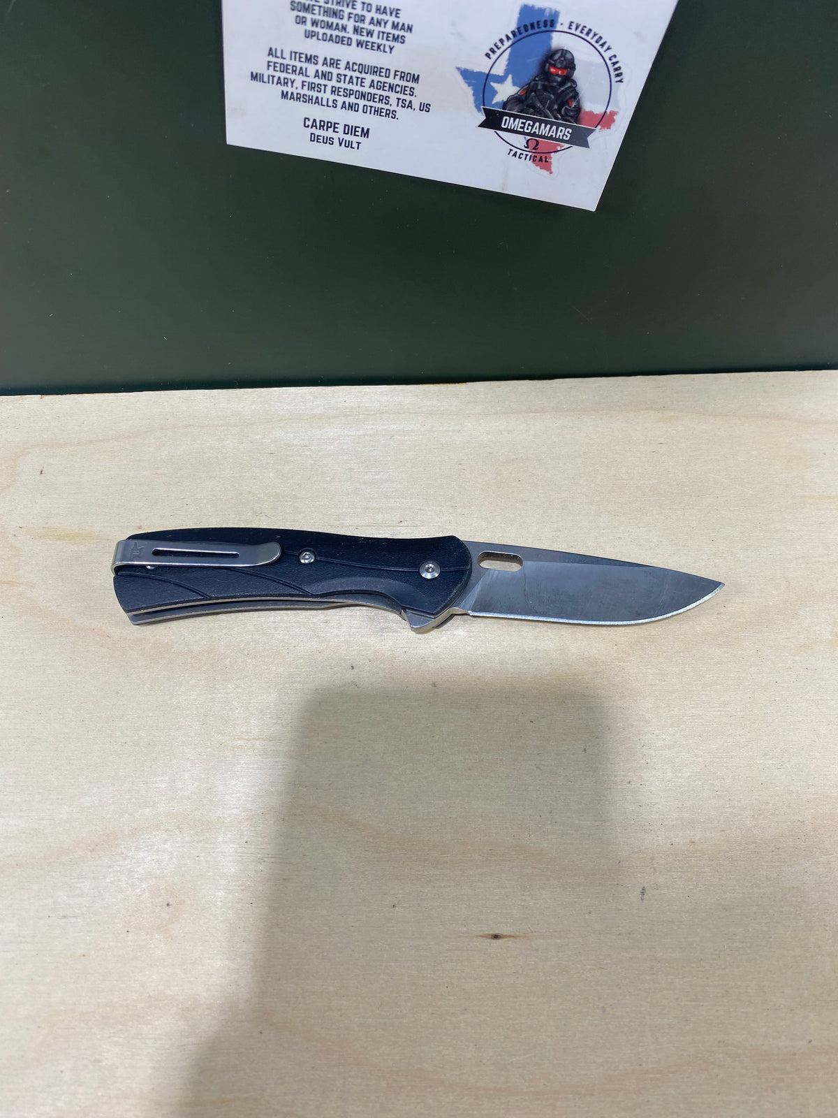 Buck 340 #BK3. Light Usage. Dings on blade.