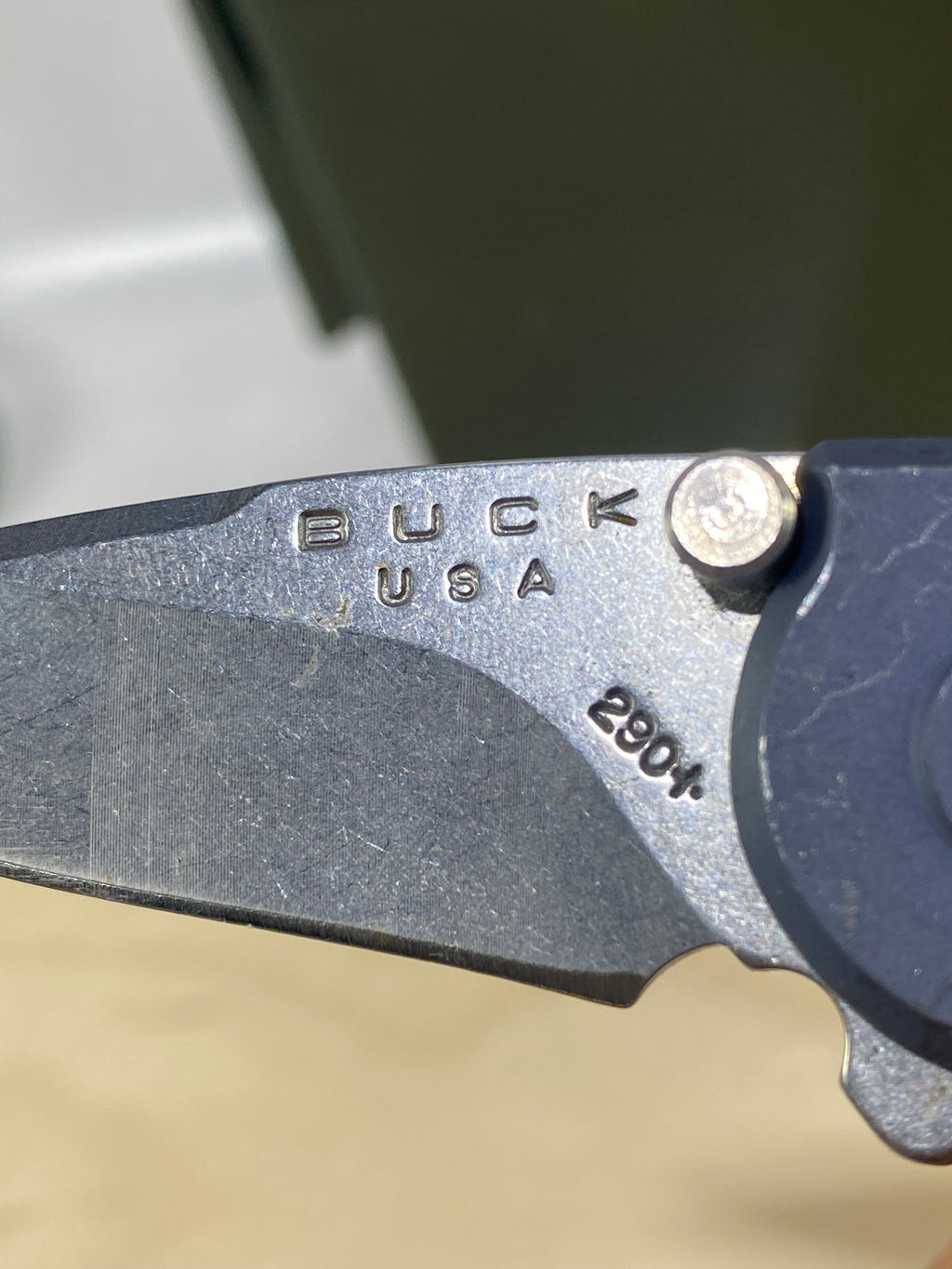 Buck 290 #BK6. Light Usage. Dings on blade.
