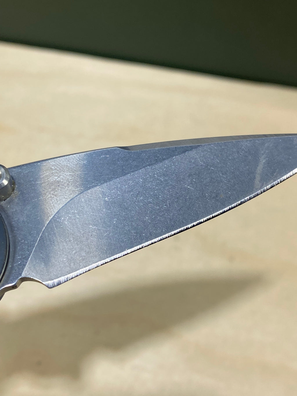 Buck 290 #BK6. Light Usage. Dings on blade.