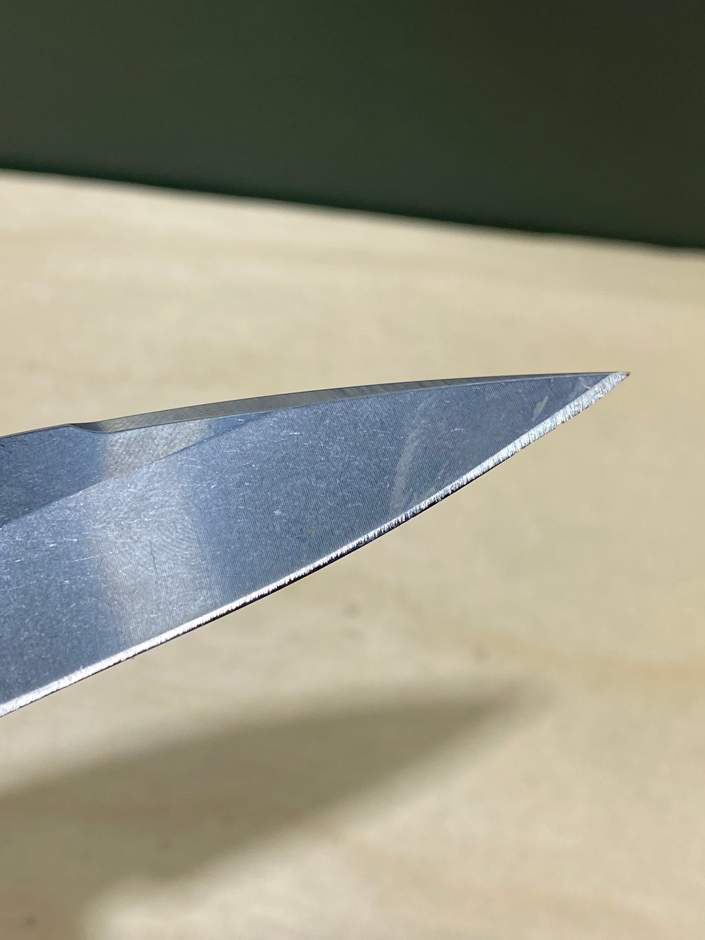 Buck 290 #BK6. Light Usage. Dings on blade.