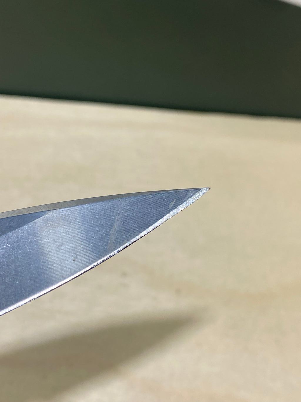 Buck 290 #BK6. Light Usage. Dings on blade.