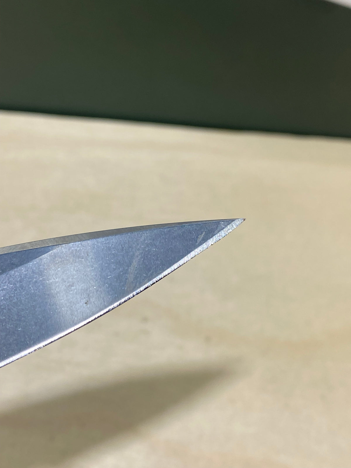 Buck 290 #BK6. Light Usage. Dings on blade.