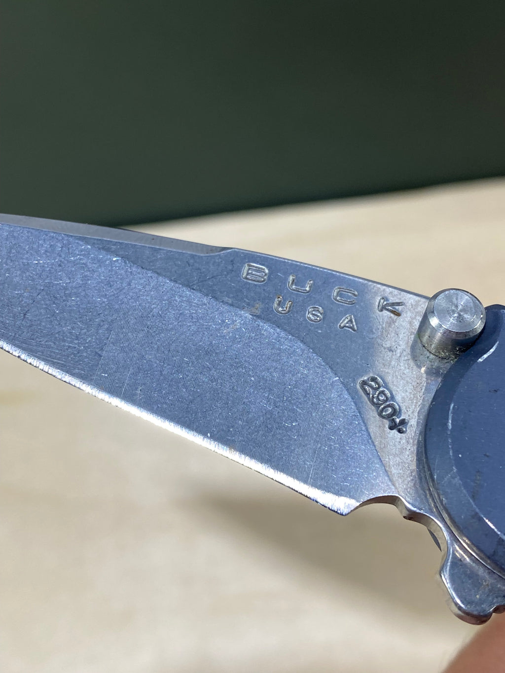 Buck 290 #BK6. Light Usage. Dings on blade.