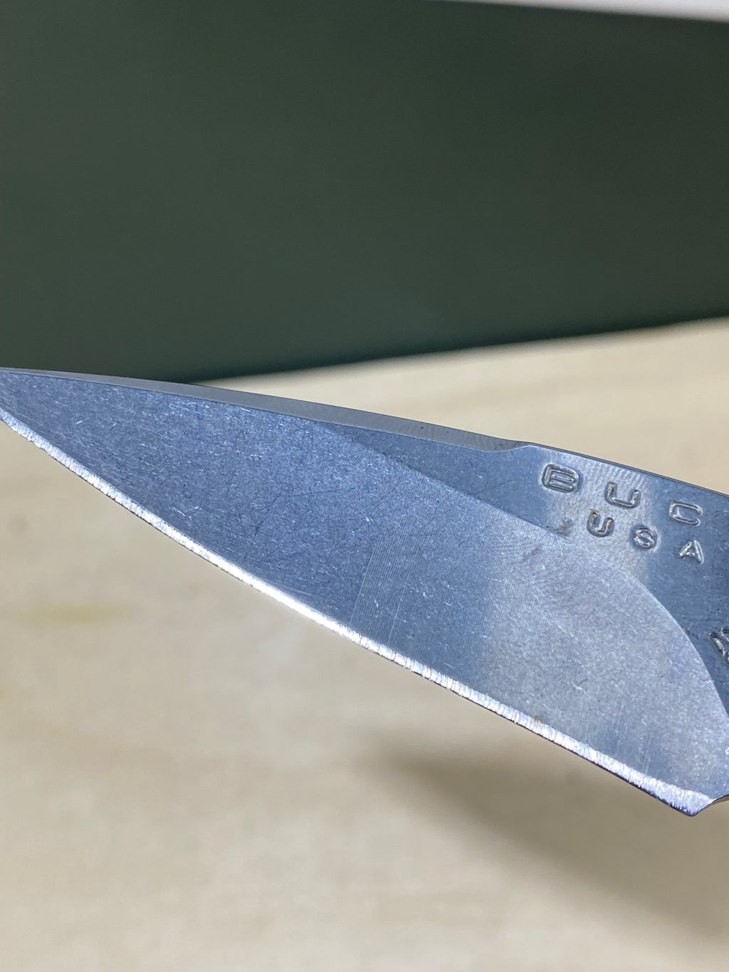 Buck 290 #BK6. Light Usage. Dings on blade.