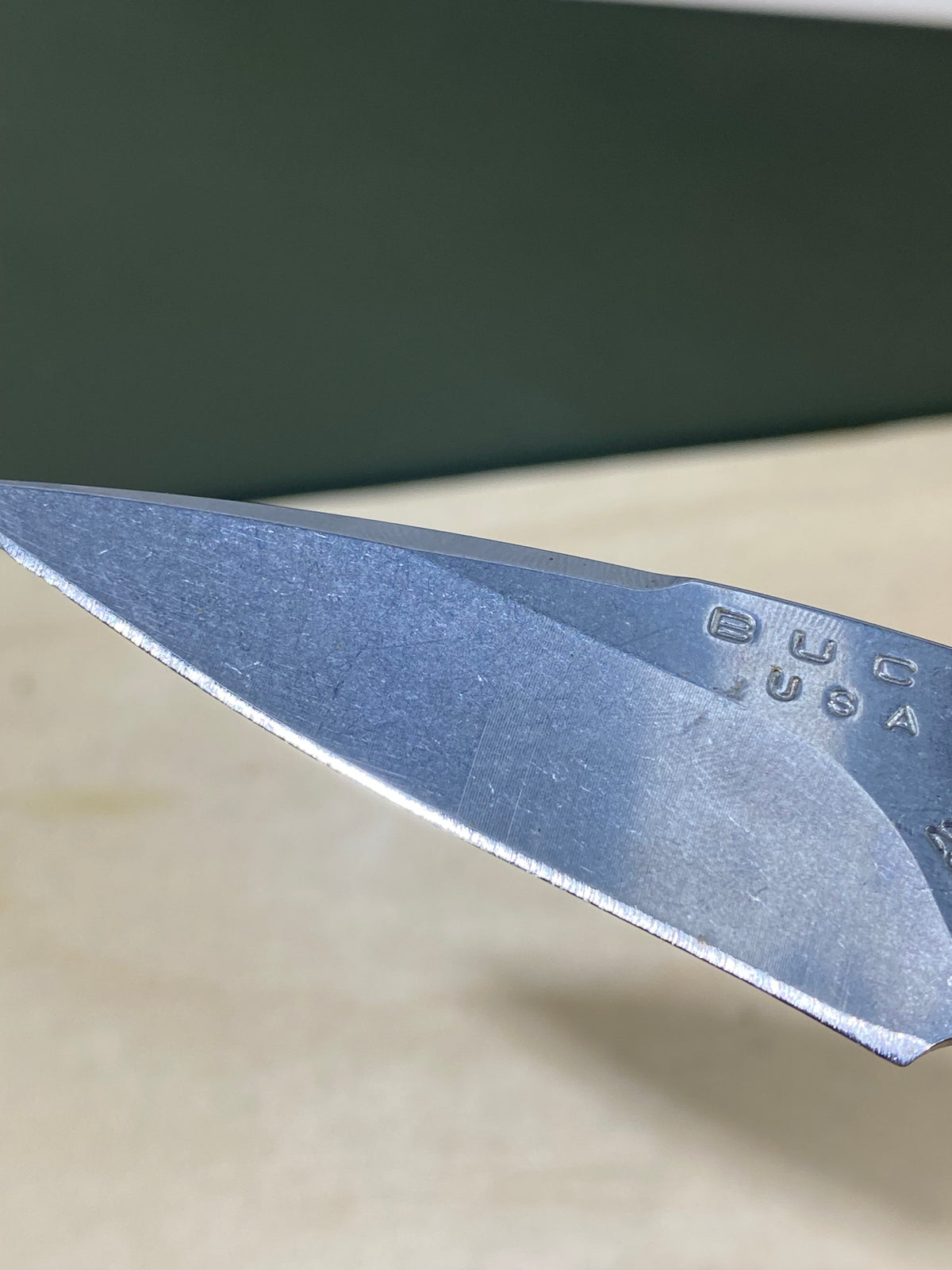 Buck 290 #BK6. Light Usage. Dings on blade.