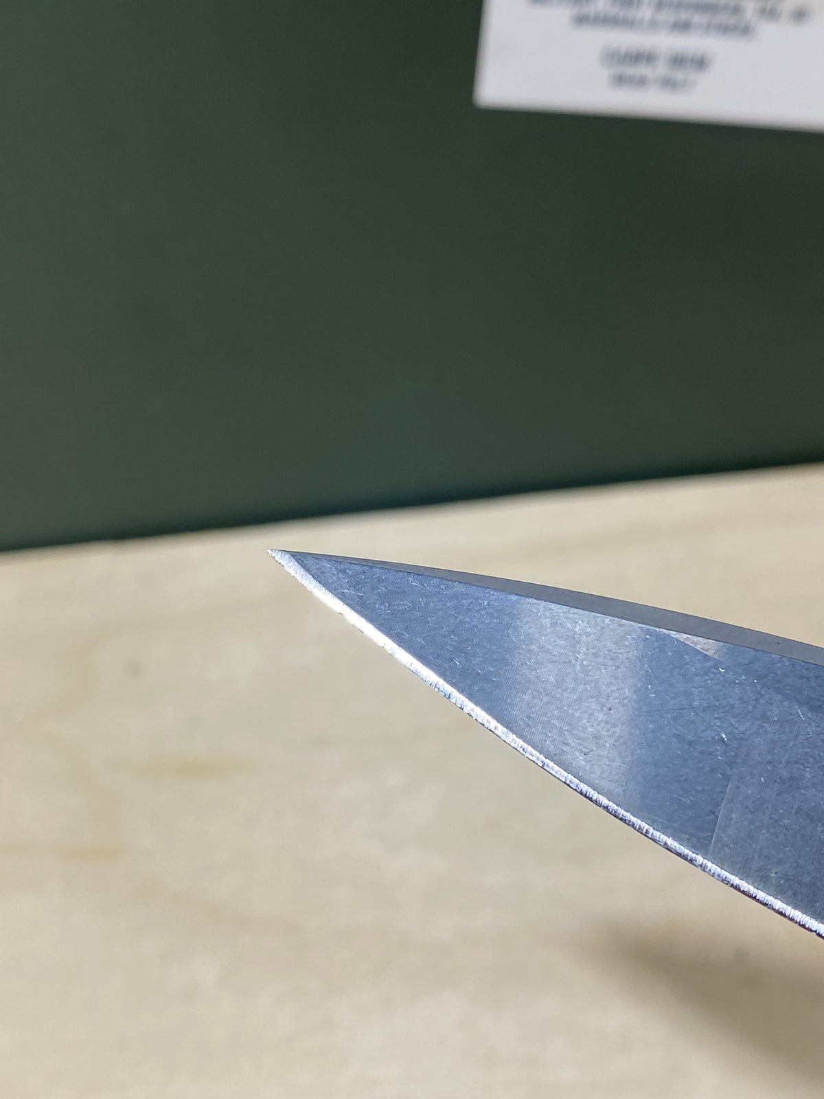 Buck 290 #BK6. Light Usage. Dings on blade.
