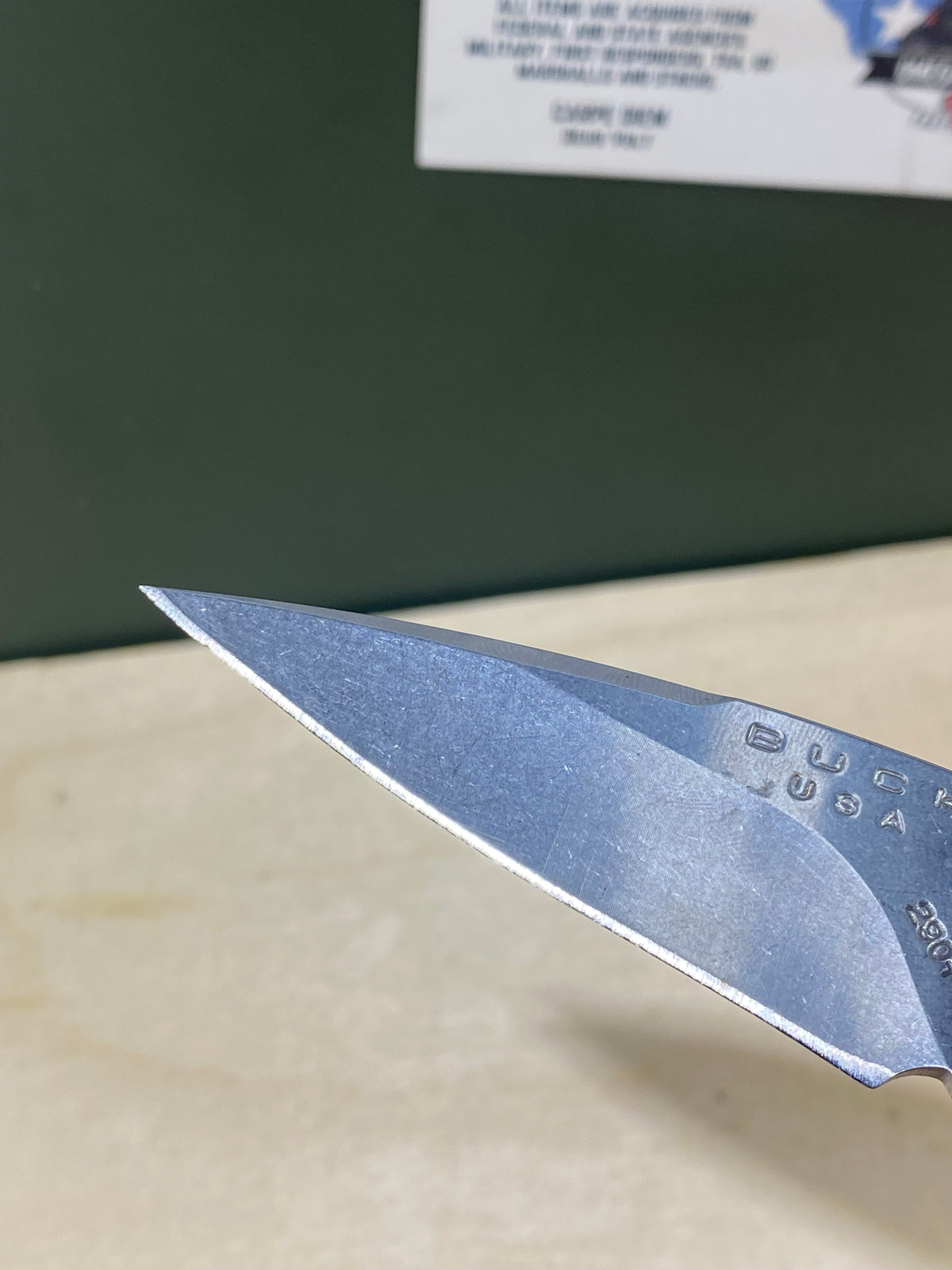 Buck 290 #BK6. Light Usage. Dings on blade.