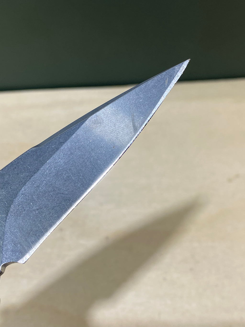 Buck 290 #BK6. Light Usage. Dings on blade.