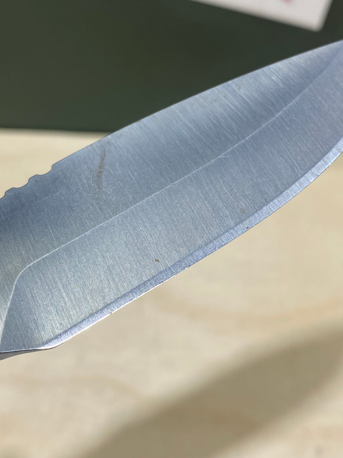 Buck 673 #BK16.  Light Usage. Dings on blade.