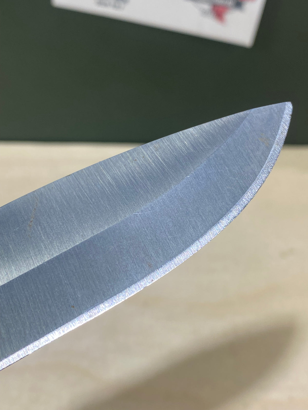 Buck 673 #BK16.  Light Usage. Dings on blade.