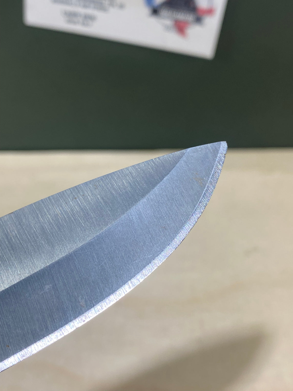 Buck 673 #BK16.  Light Usage. Dings on blade.