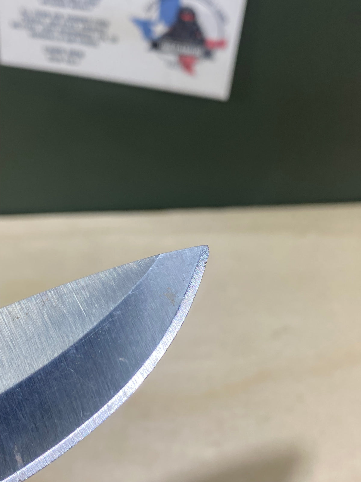 Buck 673 #BK16.  Light Usage. Dings on blade.