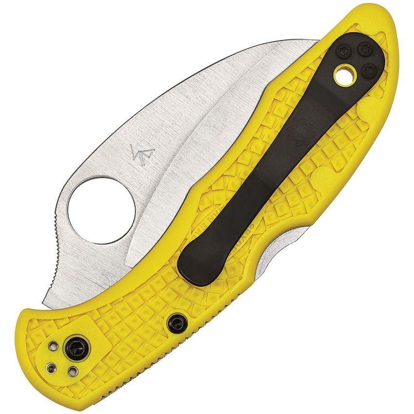 SPYDERCO - Tasman Salt 2 Lockback H2