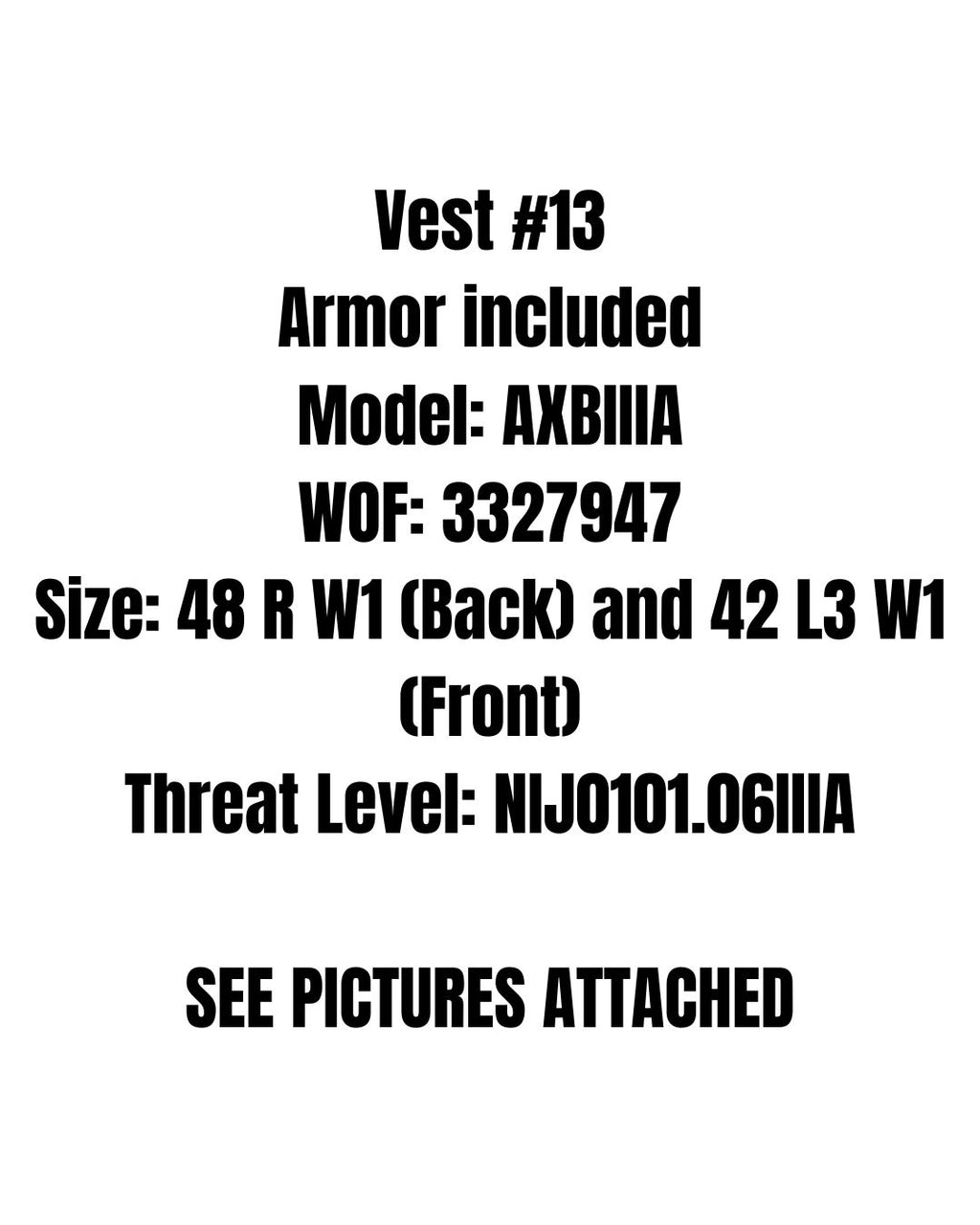 Pre-Owned Point-Blank Guardian MOLLE Vest Carriers in Black. Light usage.